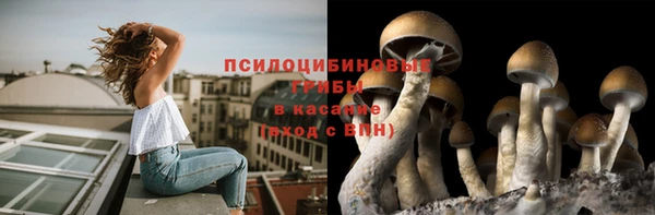 первитин Кодинск