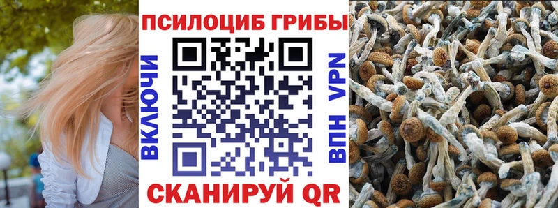 Галлюциногенные грибы Psilocybe  Купить где  Покачи 